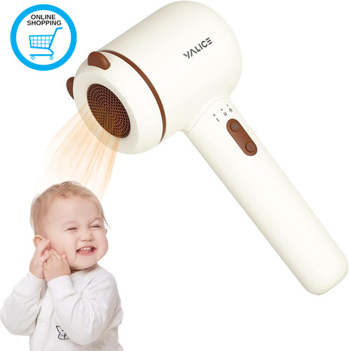 Cordless hair dryer - dryer, for
